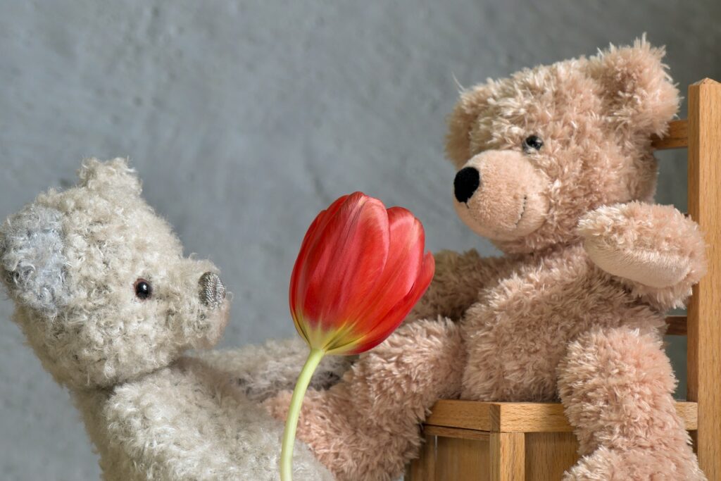 Teddy zum Valentinstag